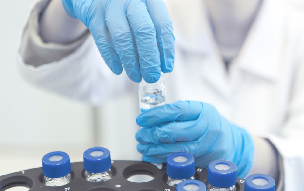 veterinario analizando 